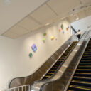 山口大学医学部附属病院 C棟外来診療棟・C棟新中央診療棟渡り廊下